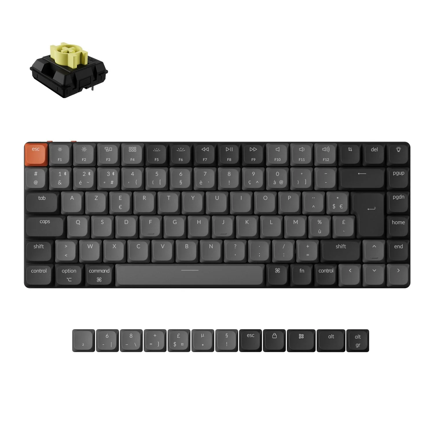 Product image 19